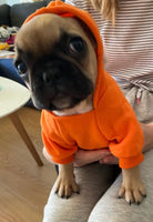 Posh Pullover (Orange)